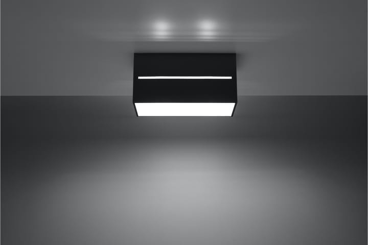 Plafond Lobo 20 cm Svart - Sollux Lighting - Belysning - Lampor & belysning inomhus - Taklampa & takbelysning