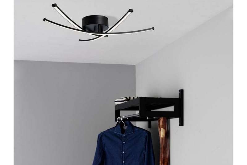 Strazza Plafond - Cottex - Belysning - Lampor & belysning inomhus - Taklampa & takbelysning