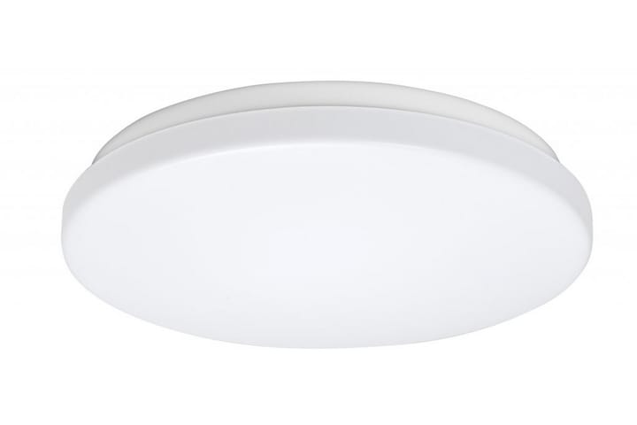 Slim Tavellampa - High Light - Belysning - Lampor & belysning inomhus - Möbelbelysning & integrerad belysning - Bokhyllebelysning