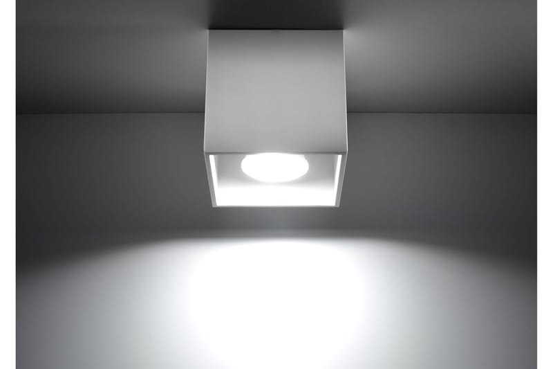 Spotlight Quad Vit - Sollux Lighting - Belysning - Spotlights & downlights