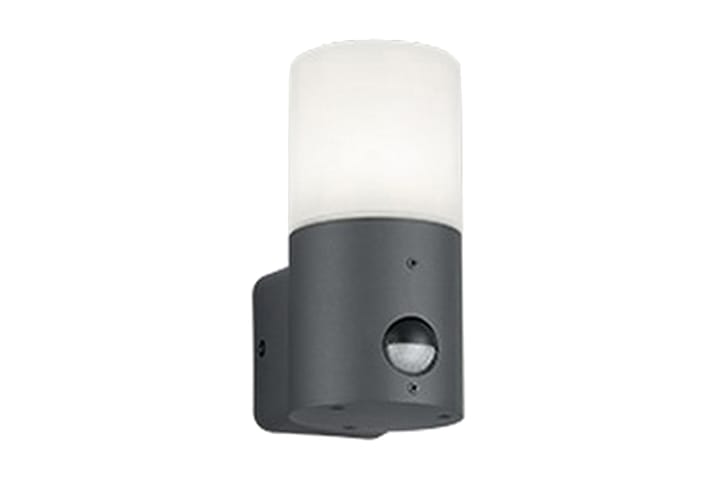 Vägglampa Hoosic - Trio Lighting - Belysning - Utelampor & utomhusbelysning - Fasadbelysning & vägglyktor