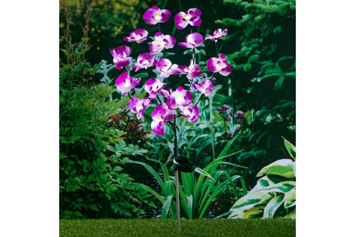 HI Soldriven LED-trädgårdslampa orkidé 75 cm - Lila - Belysning - Utelampor & utomhusbelysning - Solcellsbelysning