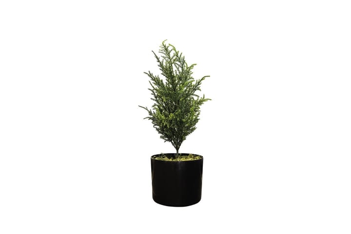Konstgjord Växt Cypress 42cm - Inredning - Dekoration & inredningsdetaljer - Konstväxt & plastblommor