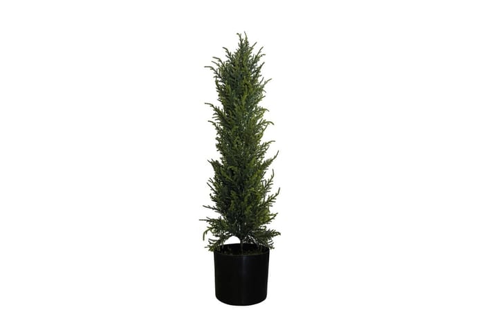 Konstgjord Växt Cypress 80cm - Inredning - Dekoration & inredningsdetaljer - Konstväxt & plastblommor