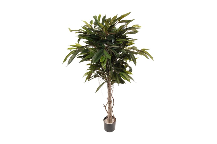 Konstväxt Longifolia 150 cm - Grön - Inredning - Dekoration & inredningsdetaljer - Konstväxt & plastblommor