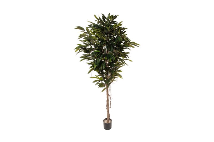 Konstväxt Longifolia 200 cm - Grön - Inredning - Dekoration & inredningsdetaljer - Konstväxt & plastblommor