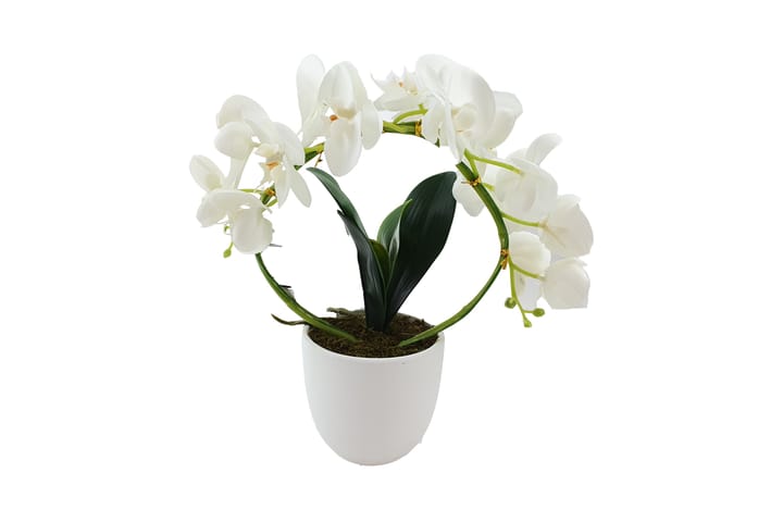 Orkidé Båge Artificiell med Kruka 38 cm - Vit|Grön|Brun - Inredning - Dekoration & inredningsdetaljer - Konstväxt & plastblommor