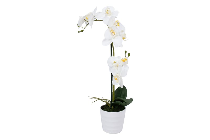 Vit Orkidea 51 cm på Vit Kruka - Inredning - Dekoration & inredningsdetaljer - Prydnadssaker - Blomsterdekoration