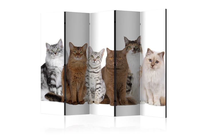 Rumsavdelare Sweet Cats 225x172 - Artgeist sp. z o. o. - Inredning - Dekoration & inredningsdetaljer - Rumsavdelare