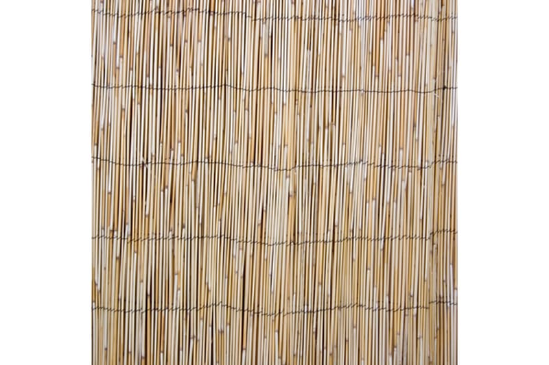 Vas Staket i trädgården 2x5 m natur - Textil & mattor - Matta - Modern matta - Sisalmatta