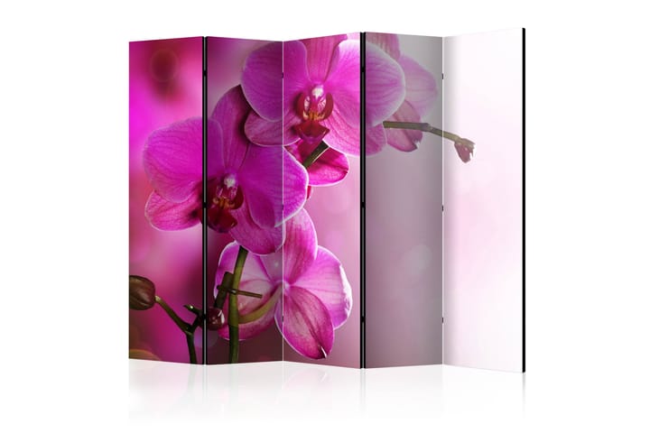 Rumsavdelare Pink Orchid 225x172 cm - Inredning - Småmöbler - Rumsavdelare