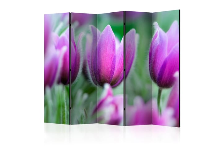 Rumsavdelare Purple Spring Tulips II - 225x172 cm - Inredning - Småmöbler - Rumsavdelare