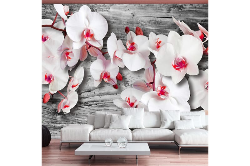 Fototapet Callous Orchids 300x210 - Artgeist sp. z o. o. - Inredning - Tapet - Fototapet
