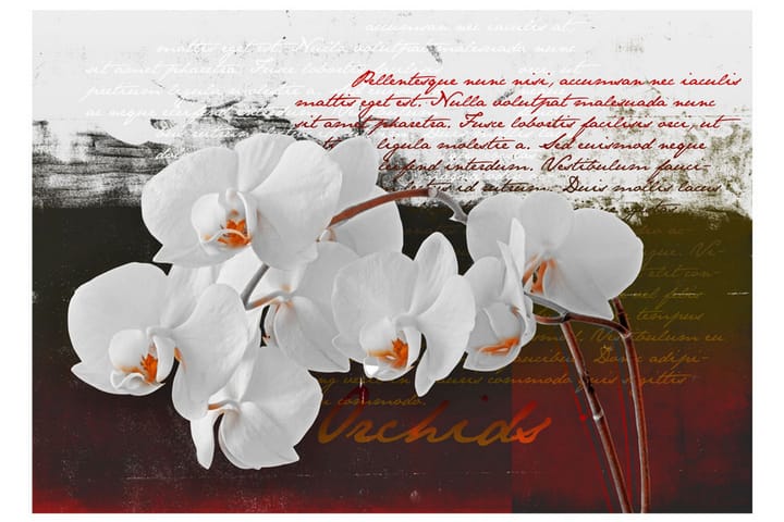 Fototapet Diary And Orchid 300x210 - Artgeist sp. z o. o. - Inredning - Tapet - Fototapet