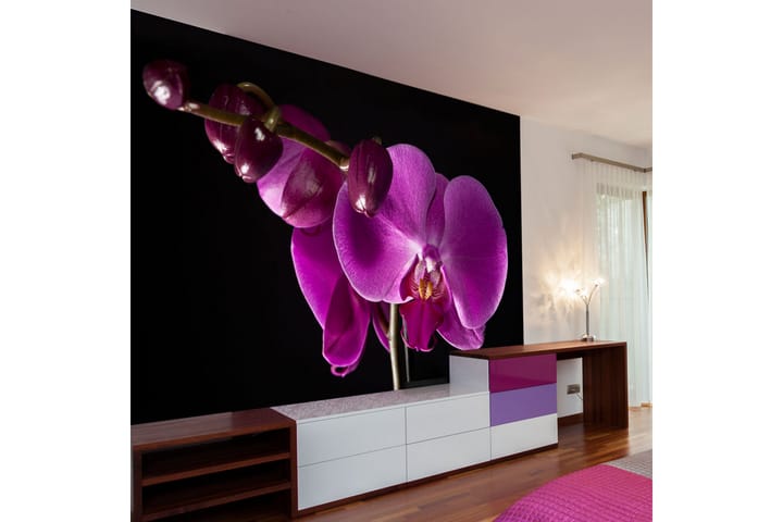 Fototapet Elegant Orchids 300x231 - Artgeist sp. z o. o. - Inredning - Tapet - Fototapet