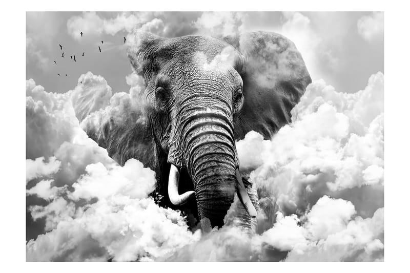 Fototapet Elephant In The Clouds Black And White 150x105 - Artgeist sp. z o. o. - Inredning - Tapet - Fototapet