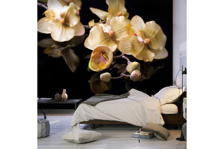 Fototapet Orchids In Ecru Color 300x231 - Artgeist sp. z o. o. - Inredning - Tapet - Fototapet