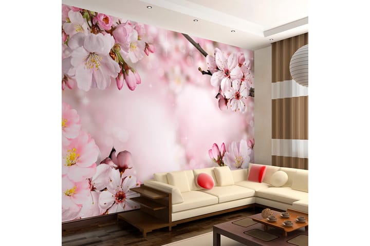 Fototapet Spring Cherry Blossom 300x210 - Artgeist sp. z o. o. - Inredning - Tapet - Fototapet