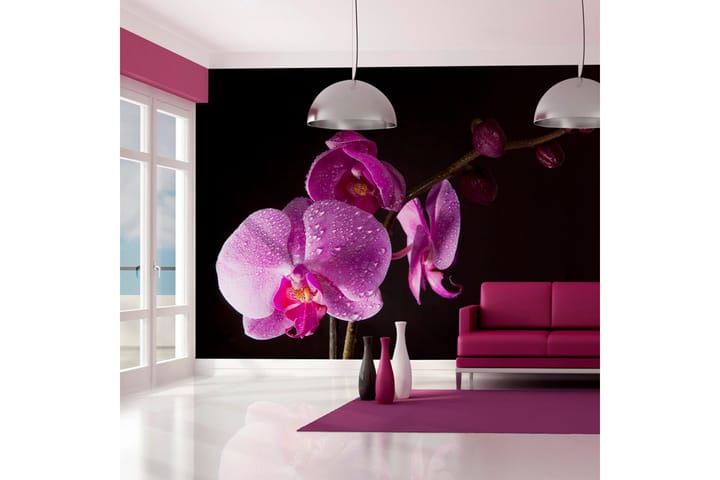 Fototapet Stylish Orchids 300x231 - Artgeist sp. z o. o. - Inredning - Tapet - Fototapet