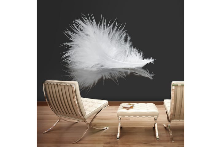 Fototapet White Feather 300x231 - Finns i flera storlekar - Inredning - Tapet - Fototapet