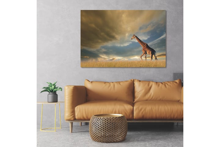 Akryltavla Giraffe Glas - 80x120 cm - Inredning - Tavlor & posters - Canvastavla