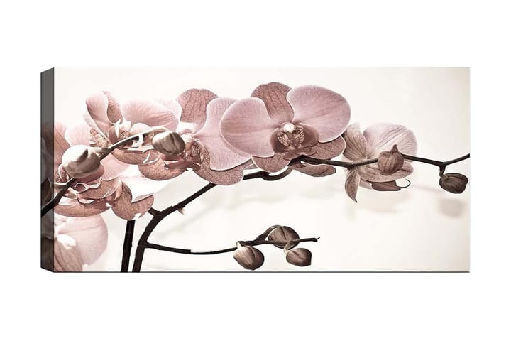 Canvastavla YTY Floral & Botanical Flerfärgad - 120x50 cm - Inredning - Väggdekor - Väggklocka & väggur