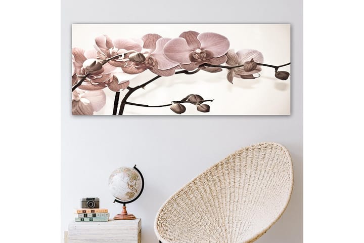 Canvastavla YTY Floral & Botanical Flerfärgad - 120x50 cm - Inredning - Tavlor & posters - Canvastavla
