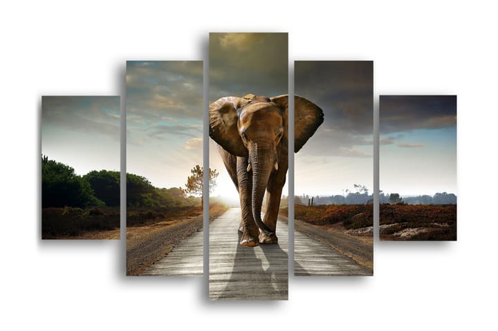 Elefant Ramverk - Homemania - Inredning - Tavlor & posters - Canvastavla