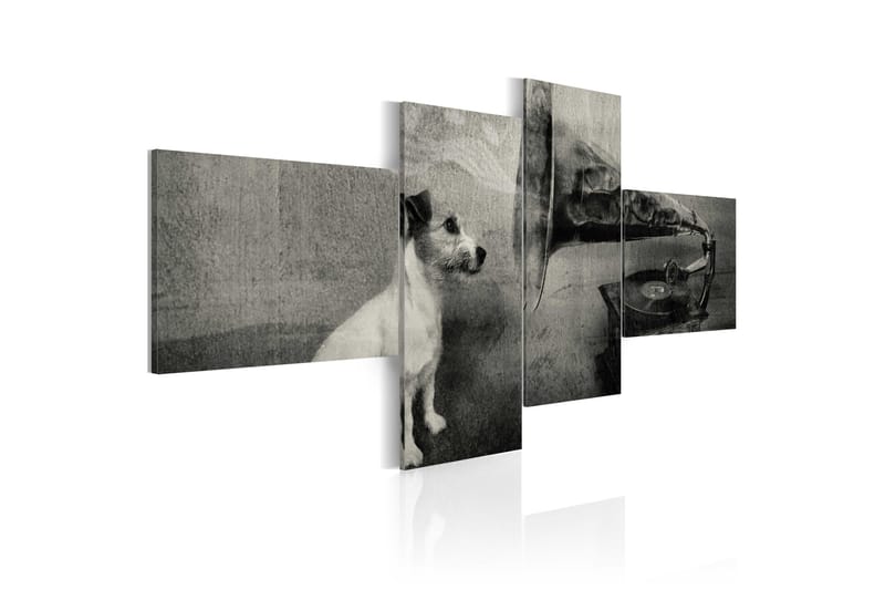 Tavla A Gramophone And A Dog 100x45 - Artgeist sp. z o. o. - Inredning - Tavlor & posters - Canvastavla