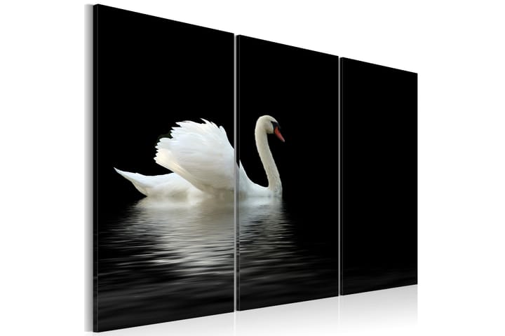 Tavla A Lonely White Swan 60x40 - Artgeist sp. z o. o. - Inredning - Tavlor & posters - Canvastavla