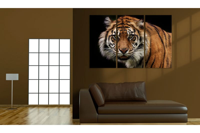 Tavla A Wild Tiger 120x80 - Artgeist sp. z o. o. - Inredning - Tavlor & posters - Canvastavla
