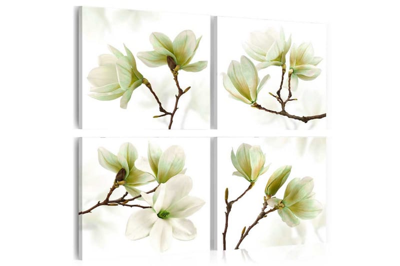 Tavla Admiration Of Magnolia 80x80 - Artgeist sp. z o. o. - Inredning - Tavlor & posters - Canvastavla