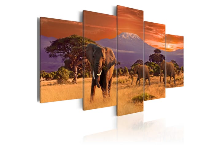 Tavla Africa Elephants 200x100 - Artgeist sp. z o. o. - Inredning - Väggdekor - Väggklocka & väggur