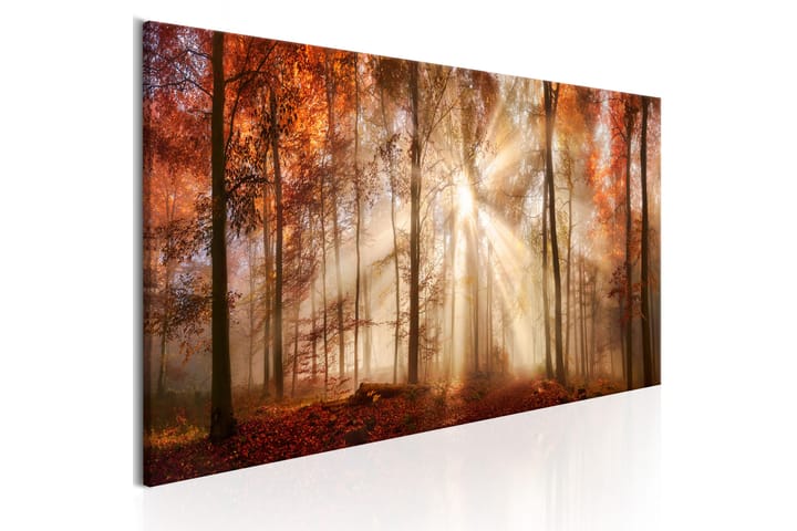 Tavla Autumnal Dawn 150x50 - Artgeist sp. z o. o. - Inredning - Tavlor & posters - Canvastavla