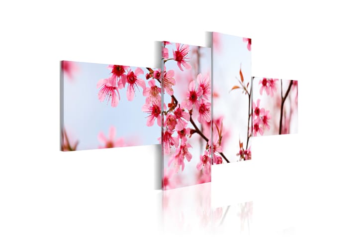 Tavla Beauty Of The Cherry Flowers 200x90 - Artgeist sp. z o. o. - Inredning - Tavlor & posters - Canvastavla