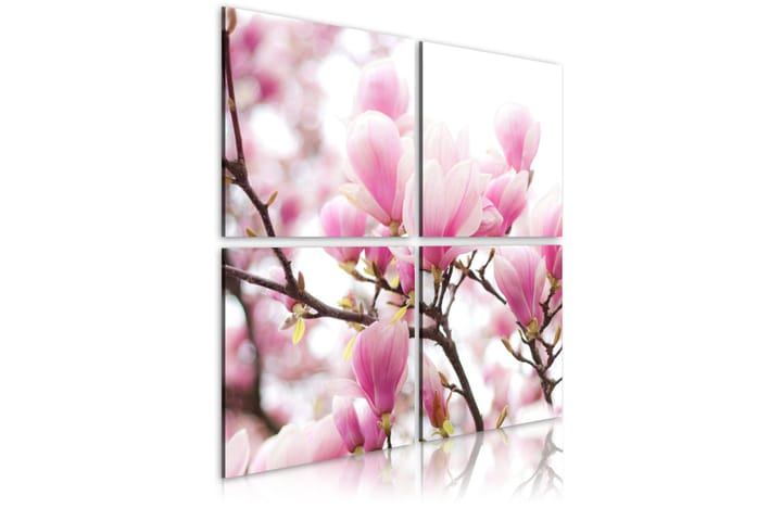 Tavla Blommande Magnolia Träd 40x40 - Artgeist sp. z o. o. - Inredning - Tavlor & posters - Canvastavla