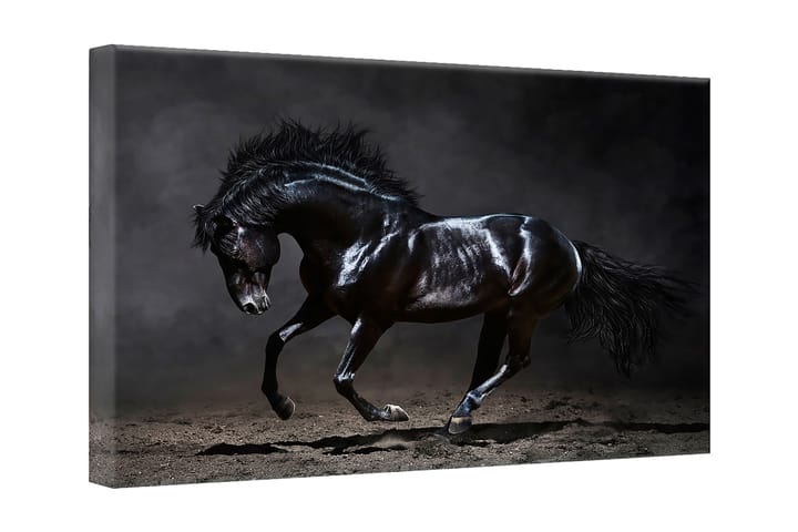 Tavla Canvas Silver Black Horse Svart 75X100 - 75x100 cm - Förvaring - Förvaringsmöbler - Möbelset för vardagsrum