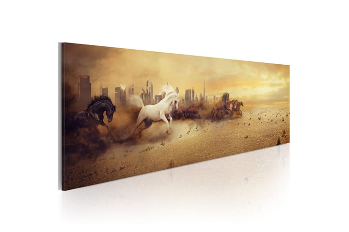 Tavla City Of Stallions 120x40 - Artgeist sp. z o. o. - Inredning - Tavlor & posters - Canvastavla