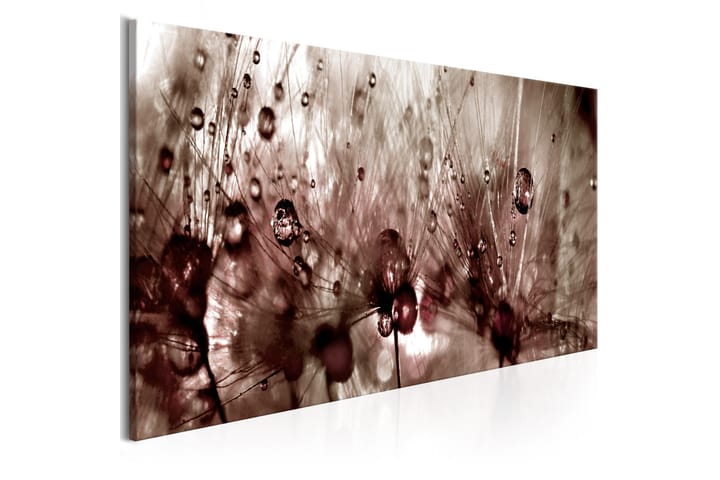 Tavla Dandelions After Rain 150X50 Beige - Blommor - Inredning - Tavlor & posters - Canvastavla