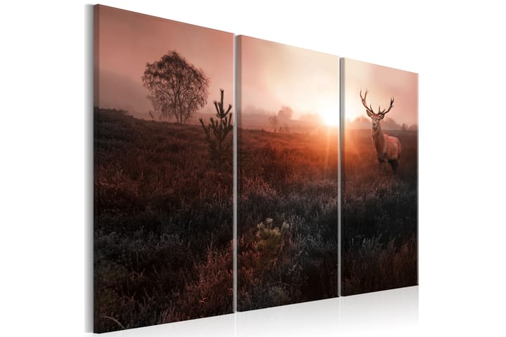 Tavla Deer In The Sunshine 90x60 - Artgeist sp. z o. o. - Inredning - Tavlor & posters - Canvastavla