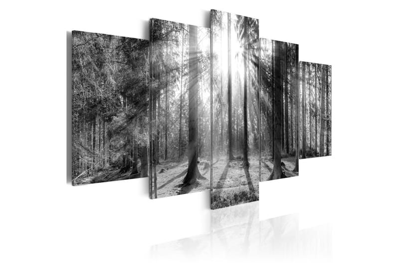 Tavla Forest Of Memories 200x100 - Artgeist sp. z o. o. - Inredning - Tavlor & posters - Canvastavla