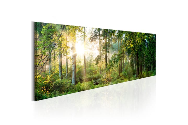 Tavla Forest Shelter 150x50 - Artgeist sp. z o. o. - Inredning - Tavlor & posters - Canvastavla