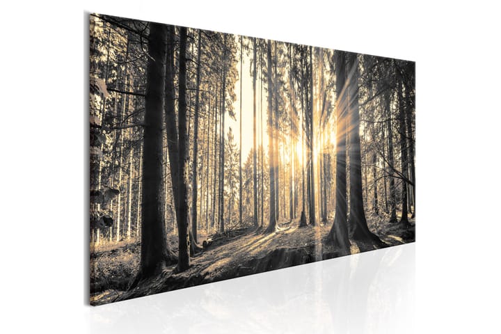 Tavla Forest Sun 150x50 - Artgeist sp. z o. o. - Inredning - Tavlor & posters - Canvastavla