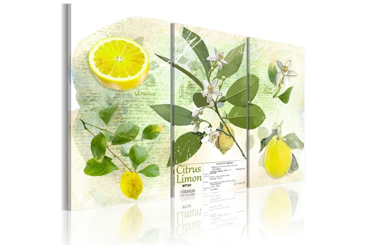 Tavla Fruit Lemon 120x80 - Artgeist sp. z o. o. - Inredning - Tavlor & posters - Canvastavla