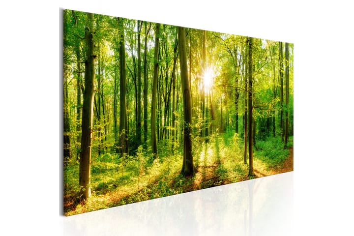 Tavla Green Magic 150x50 - Artgeist sp. z o. o. - Inredning - Tavlor & posters - Canvastavla