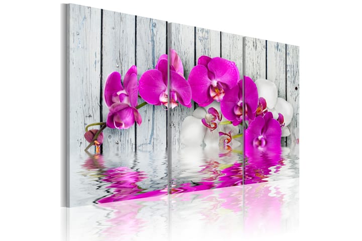 Tavla Harmony Orchid Triptych 120X80 Rosa|Vit - Blommor - Inredning - Tavlor & posters - Canvastavla