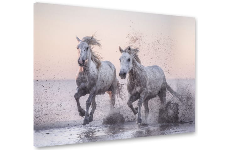 Tavla Horses 75x100 cm - Multifärgad - Inredning - Tavlor & posters - Canvastavla