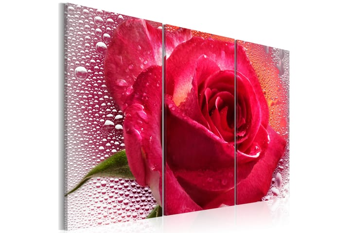 Tavla Lady Rose Triptych 120X80 Röd - Blommor - Inredning - Tavlor & posters - Canvastavla