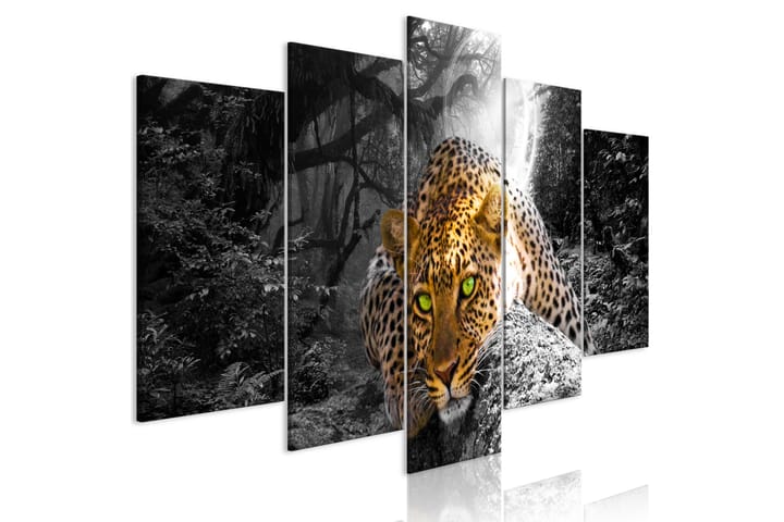 Tavla Leopard Lying 5 Parts Wide Grey 100x50 - Artgeist sp. z o. o. - Inredning - Tavlor & posters - Canvastavla