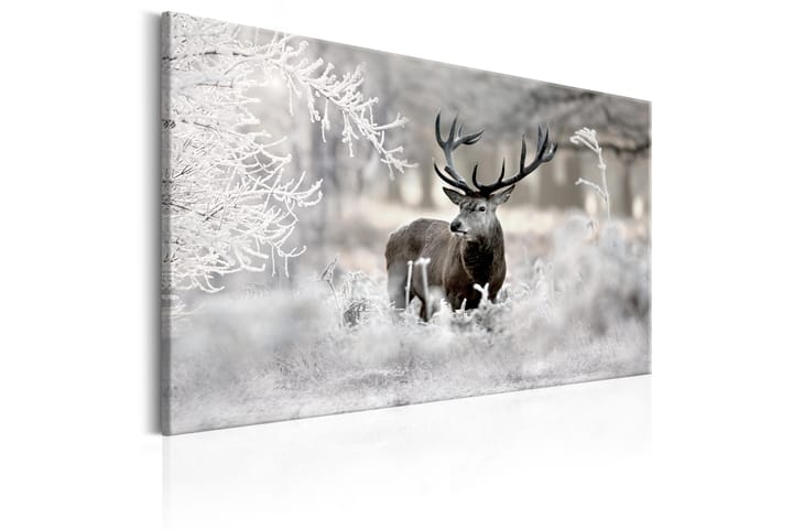 Tavla Lonely Deer 120x80 - Artgeist sp. z o. o. - Inredning - Tavlor & posters - Canvastavla